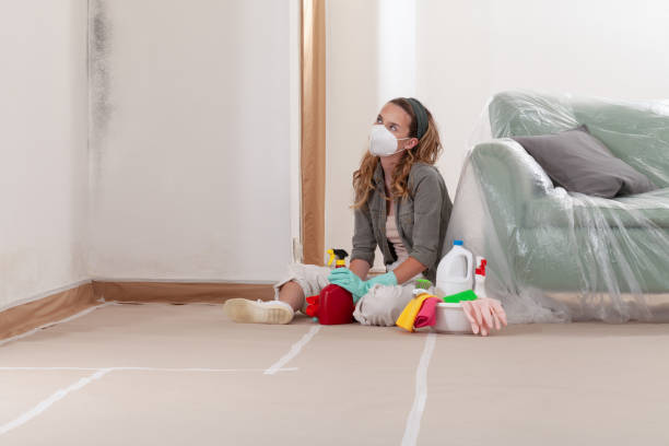Reliable Mold Remediation contractor in Lexington, KY by WQB Mold Removal